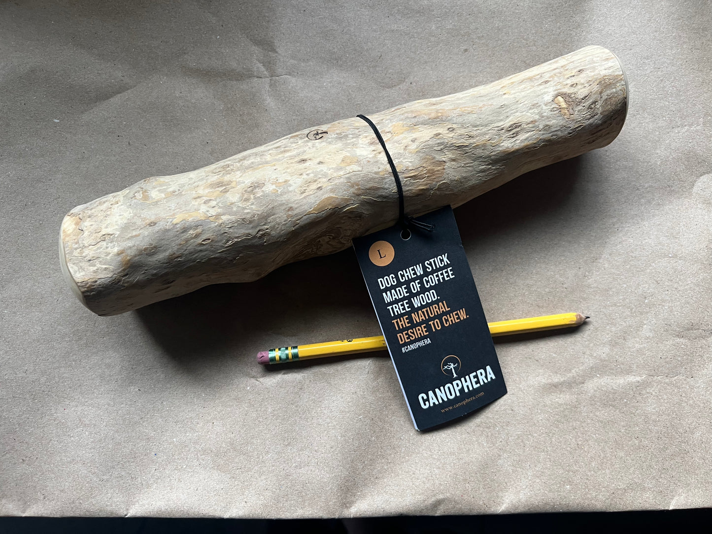Large Coffee Tree Wood