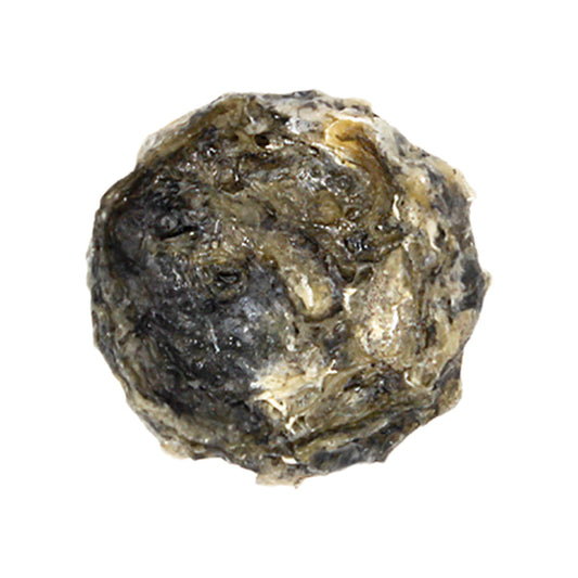 Icelandic Cod Fish Coin