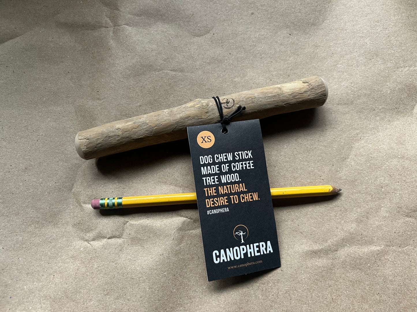 Extra Small Coffee Tree Wood