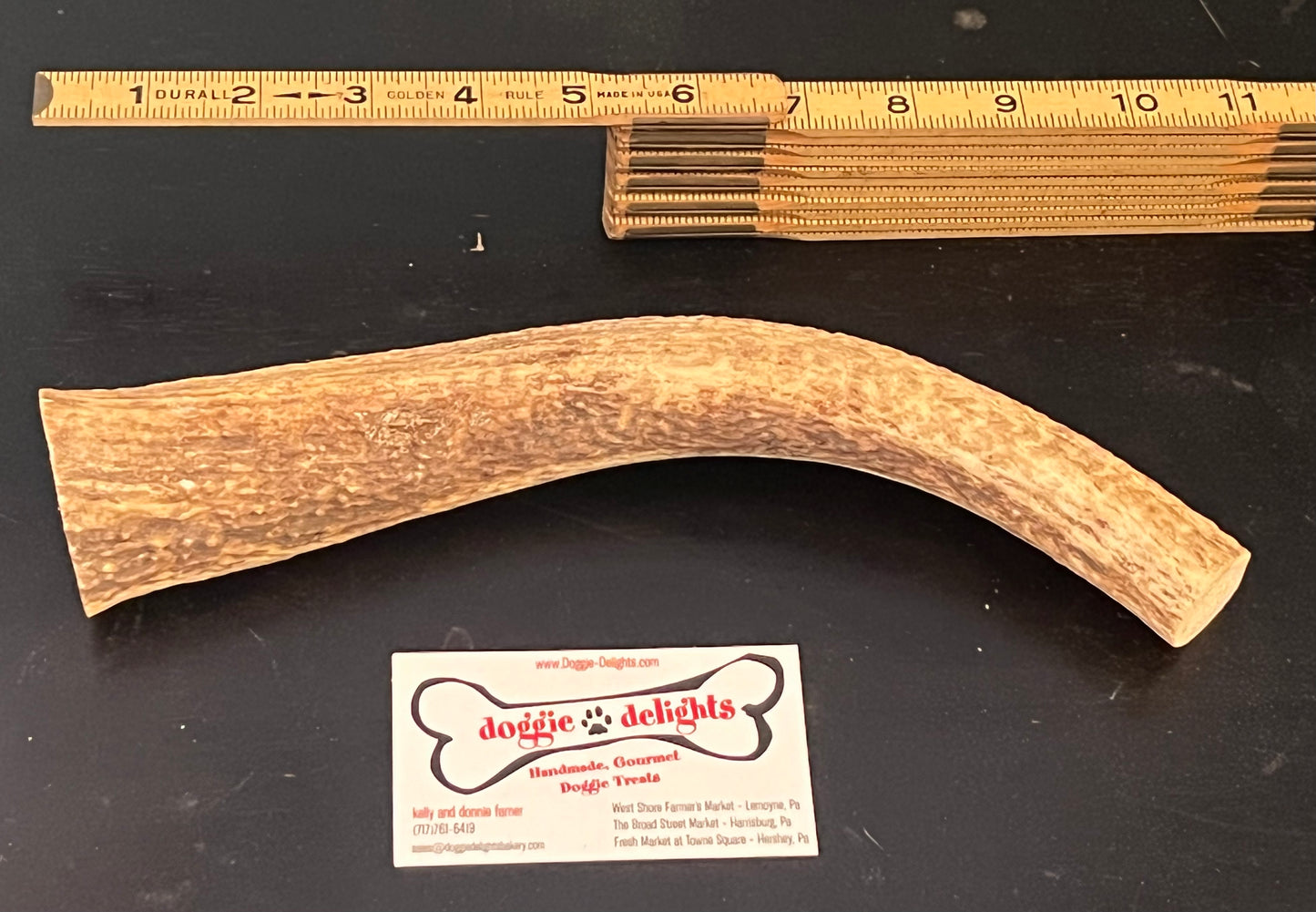 XL Antler Dog Chew - DDA11