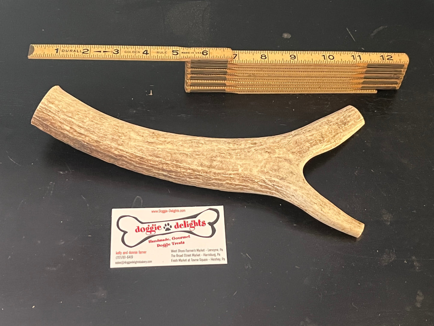 XL Antler Dog Chew - DDA12