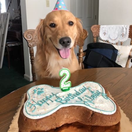 Happy Birthday Dog Cake