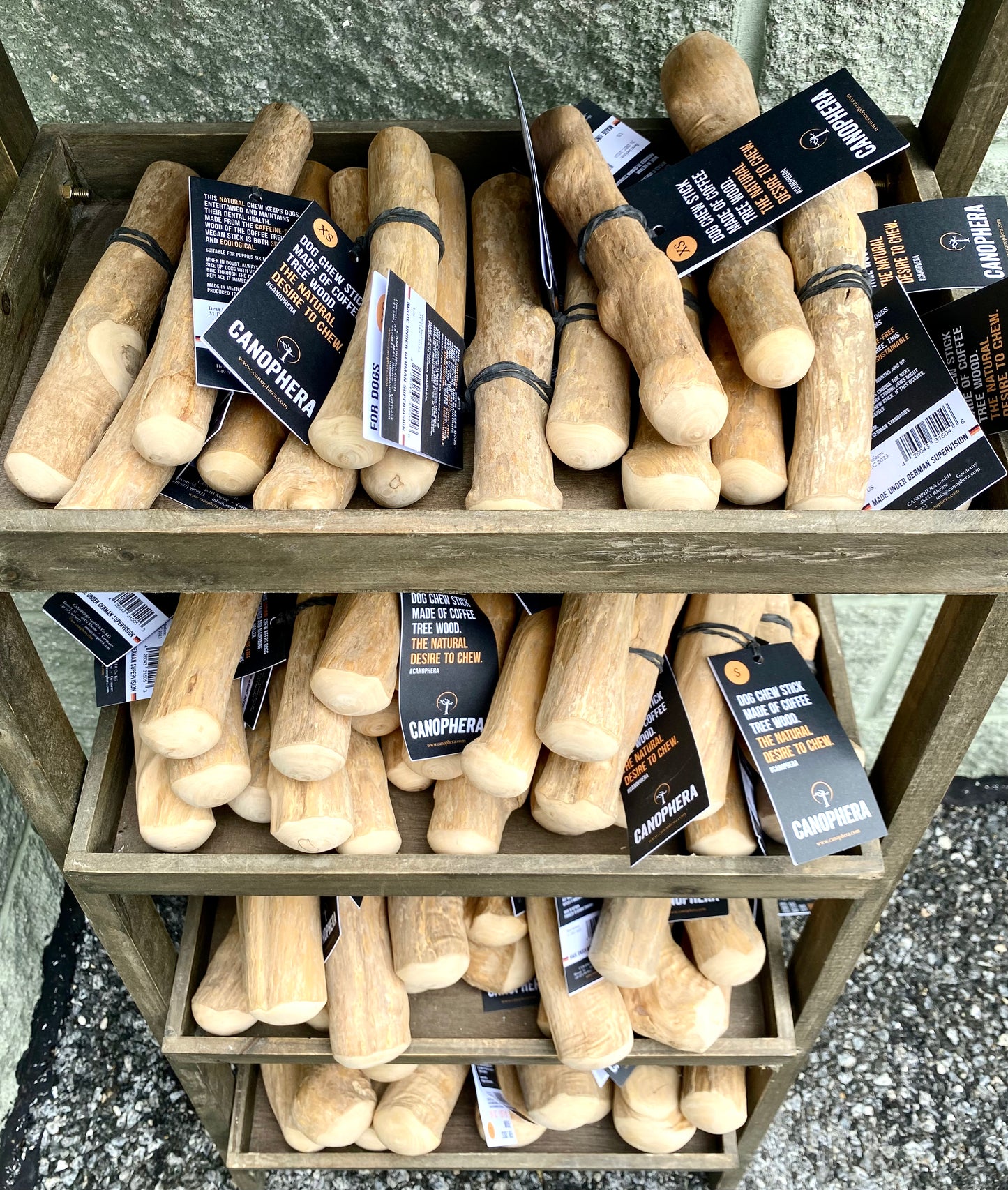 Extra Small Coffee Tree Wood